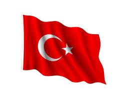 200x300 BAYRAK