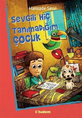 SEVGİLİ HİÇ TANIMADIĞIM ÇOCUK