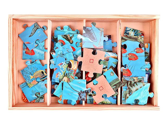 Ocean Life Puzzle Box