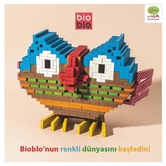 Organik Renkli Bloklar