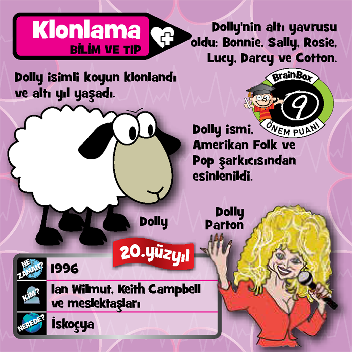 BrainBox İcatlar